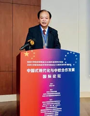 观察中国的独特视角