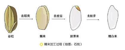 归仓:稻米流脂粟米白, 公私仓廪俱丰实8