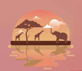 燃烧远方的星1