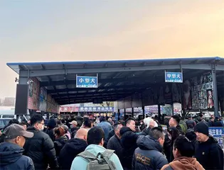 从钢铁到萌宠：鞍山如何输出百万宠物