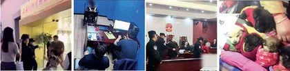 宠物经济爆发，如何监管活体交易？1