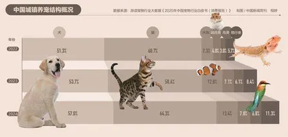 宠物经济爆发，如何监管活体交易？2