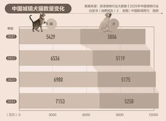 宠物经济爆发,如何监管活体交易?3