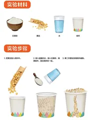 “大力士”黄豆,力破纸杯!1