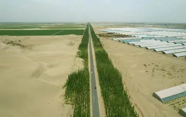 绿锁流沙