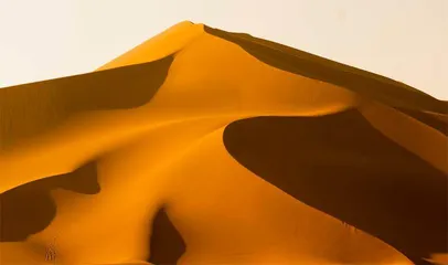 沙漠治理的成与败