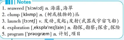 最新关注