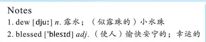 DewLight露珠之光