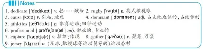 National Football Day美国橄榄球日