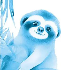 Slow Movers: Fun Facts About Sloths拖延家：树懒趣闻
