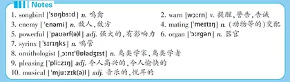 The Song of the Bird鸟之歌