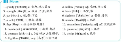 How Do Birds Fly?鸟儿如何飞翔?