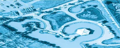 Thai FarmerTurns Rice Fields into CatArtworks泰国农民巧变稻田为猫咪画作