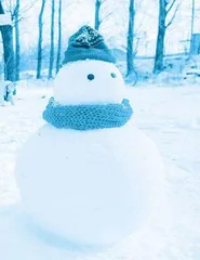 The Snowman雪人