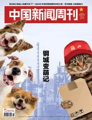“星期宠”乱象何解1