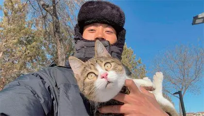 小猫“悟空”之死,与500万人的悲伤3