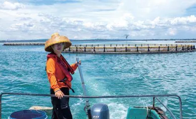 向海面,再造湛江1