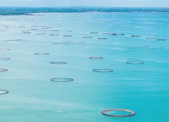 向海面,再造湛江2