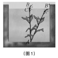 任务驱动教学法：提升数学学困生的自我效能感