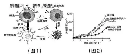 同向同行：考教衔接导向下的核心素养培养策略