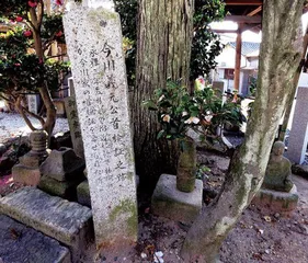 桶狭间之战战国风云中的奇袭传奇3
