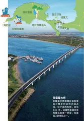 等企鹅回家