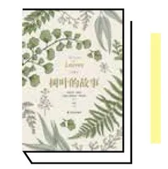 水杉的发现