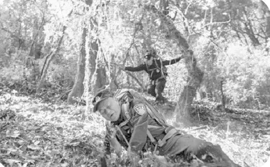 Forest police protect wildlife森林警察，使命在肩