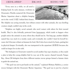 海豚的回家之路