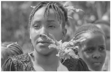 Kenya's climate guardians肯尼亚的气候卫士