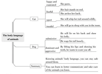 The body language of animals动物的肢体语言