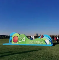 去哪儿玩这些小球7