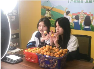 以“小” 学院带动“大”发展