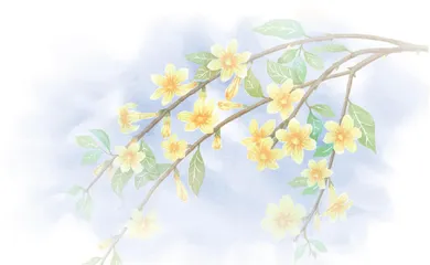 难忘那年“春播” 