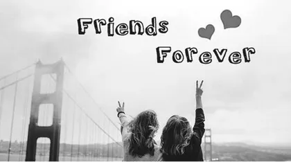 Wonderful friendship 妙不可言的友谊