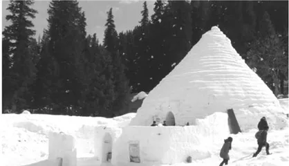 Igloo cafe 冰屋咖啡馆