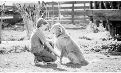 Body language lessons from my dog懂我的爱犬