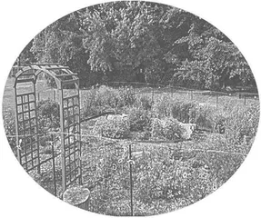 Starting a pollinator garden创意花粉造园