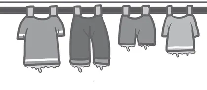 Why Do Wet Clothes Look Darker?为什么湿衣服看起来颜色更深？