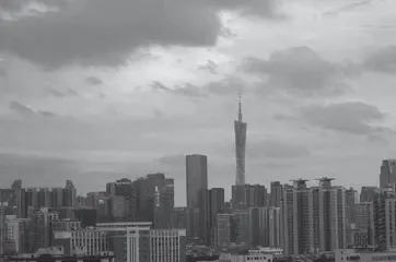 Beautiful Scenic Spots in the “Busy Flower City”“繁华花城”的美丽景点