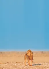 PLANET EARTH Ⅲ（Part One）地球脉动第三季（上）