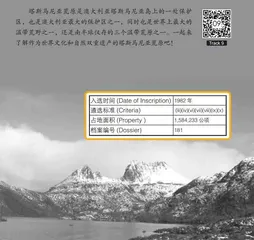塔斯马尼亚荒原