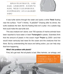 Plastic Pollution塑料污染
