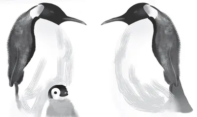 Mr. Popper’s Penguins ( Ⅷ )波普先生的企鹅（八）