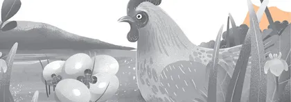 Is Eggshell’s Colour Related to Nutritional Value鸡蛋壳颜色与营养价值有关吗