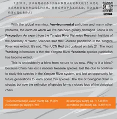 Chinese Paddlefish in the Yangtze River长江白鲟（一）