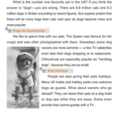 Dog Mania