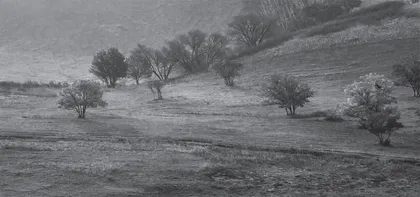 Ode to the West Wind