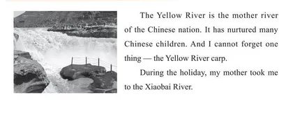 黄河鲤鱼