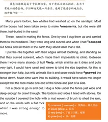 蓝色的海豚岛（七）